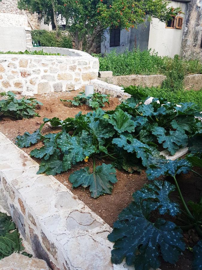 Kuca Za Odmor Dobrila Hotel Jelsa  Luaran gambar